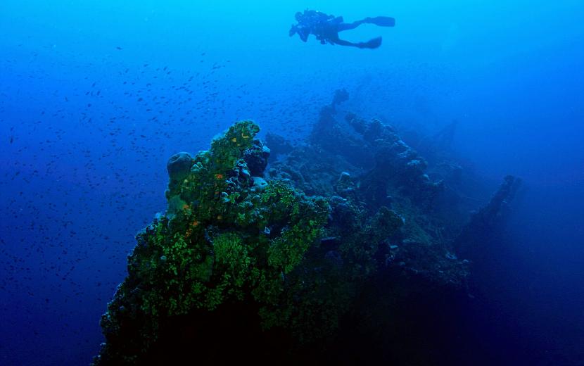 Le Polynesien wreck