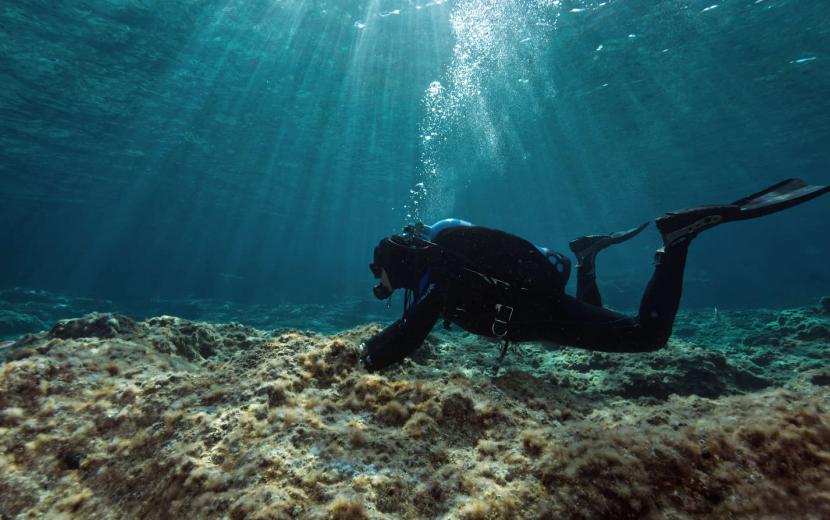 diver in sunbeams