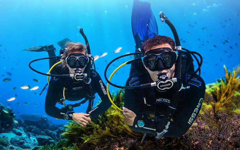 2 divers hovering