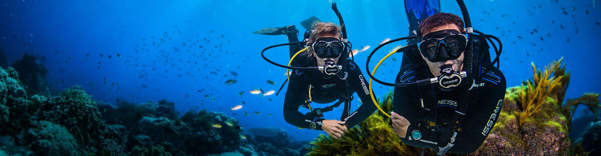 2 PADI divers hovering