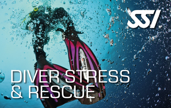 SSI stress and rescue card